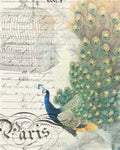 Roycycled Decoupage Paper Retired - Peacock Ephemera (Right)