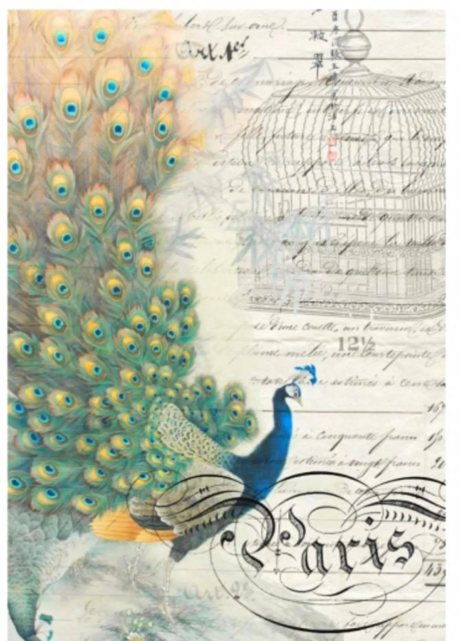 Roycycled Decoupage Paper Retired - Peacock Ephemera (Left)